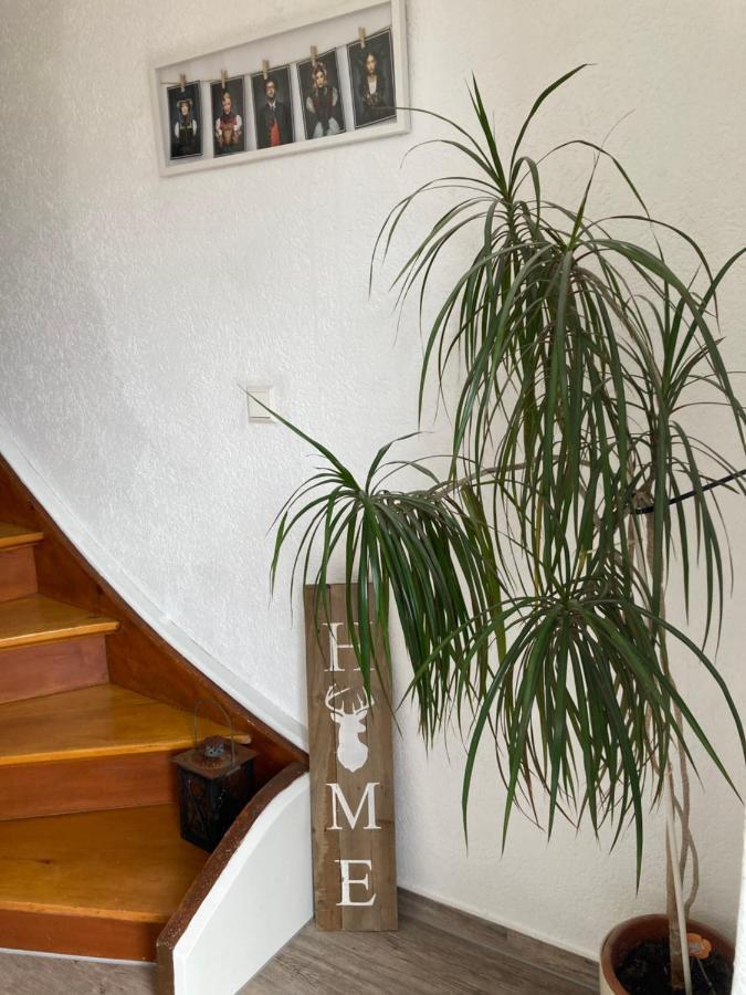 רוסט Ferienwohnung Petra מראה חיצוני תמונה
